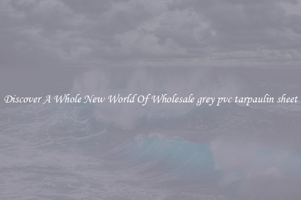 Discover A Whole New World Of Wholesale grey pvc tarpaulin sheet