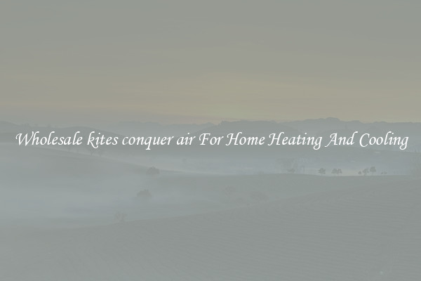 Wholesale kites conquer air For Home Heating And Cooling