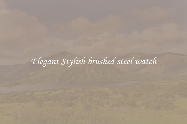 Elegant Stylish brushed steel watch