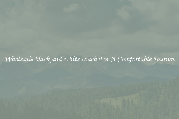 Wholesale black and white coach For A Comfortable Journey