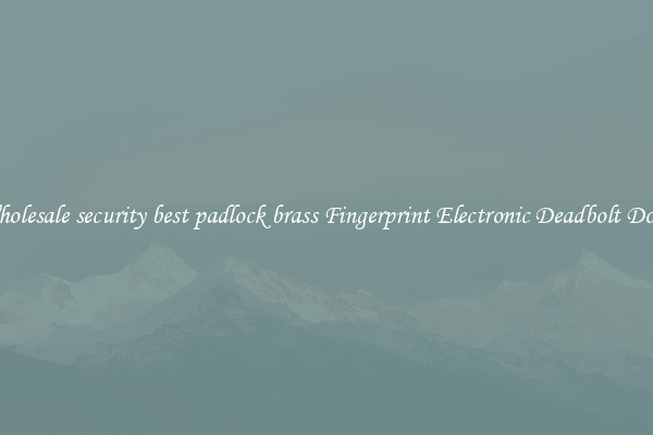 Wholesale security best padlock brass Fingerprint Electronic Deadbolt Door 