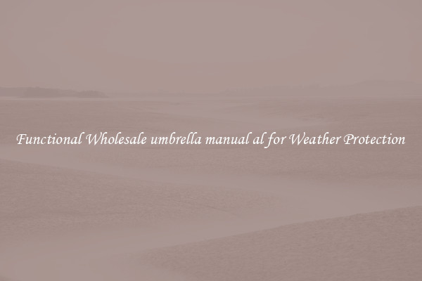 Functional Wholesale umbrella manual al for Weather Protection 