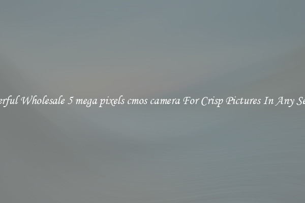 Powerful Wholesale 5 mega pixels cmos camera For Crisp Pictures In Any Setting