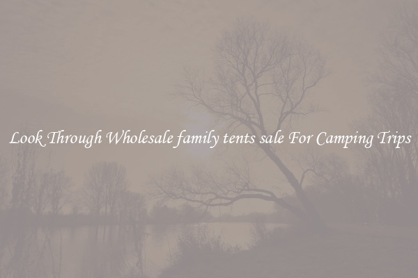 Look Through Wholesale family tents sale For Camping Trips