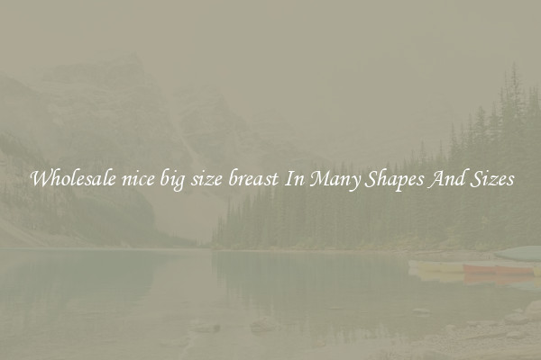 Wholesale nice big size breast In Many Shapes And Sizes