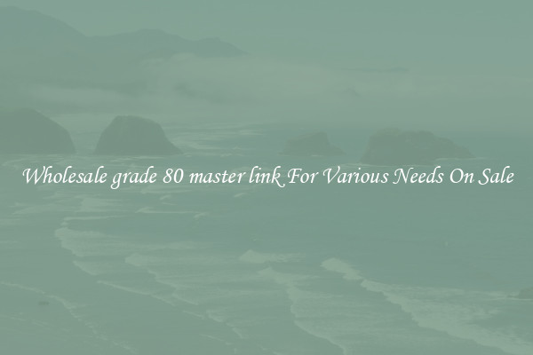 Wholesale grade 80 master link For Various Needs On Sale