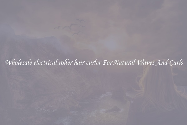 Wholesale electrical roller hair curler For Natural Waves And Curls