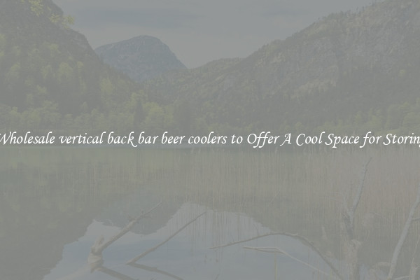 Wholesale vertical back bar beer coolers to Offer A Cool Space for Storing