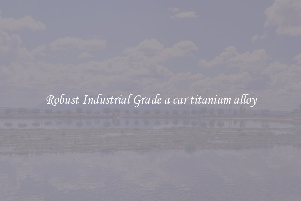 Robust Industrial Grade a car titanium alloy