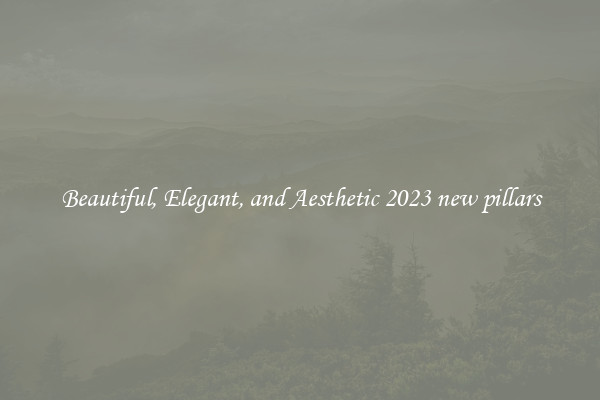 Beautiful, Elegant, and Aesthetic 2023 new pillars