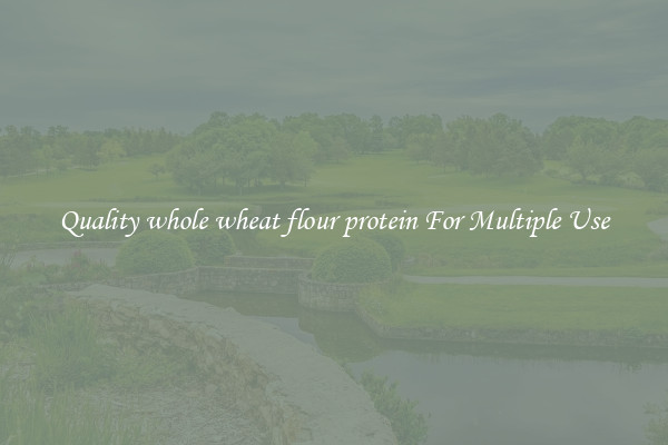 Quality whole wheat flour protein For Multiple Use