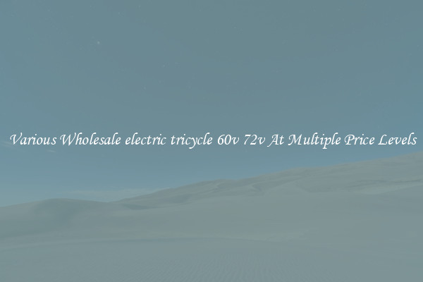 Various Wholesale electric tricycle 60v 72v At Multiple Price Levels