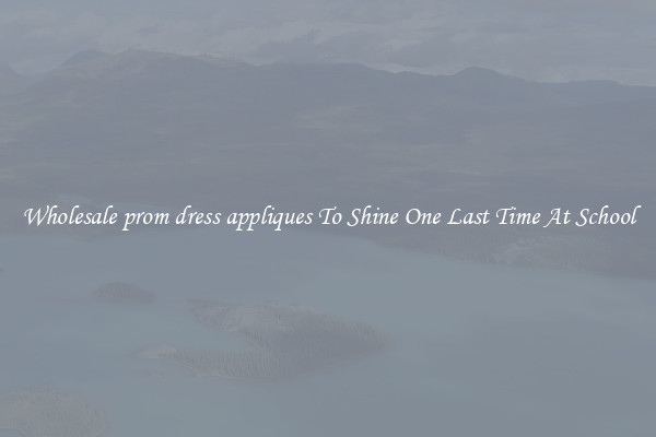 Wholesale prom dress appliques To Shine One Last Time At School