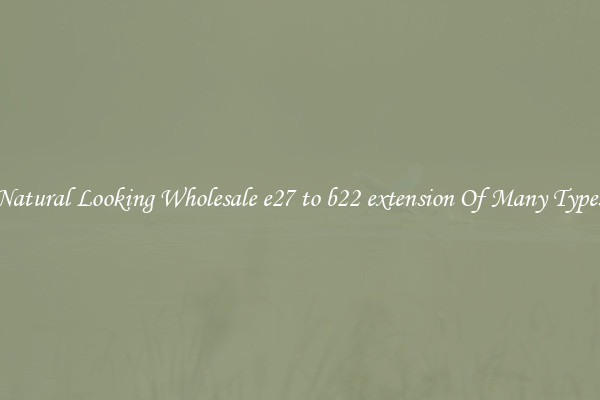 Natural Looking Wholesale e27 to b22 extension Of Many Types