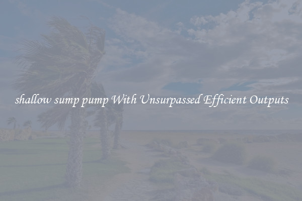 shallow sump pump With Unsurpassed Efficient Outputs