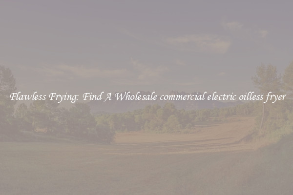 Flawless Frying: Find A Wholesale commercial electric oilless fryer