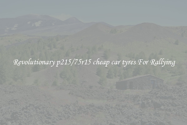 Revolutionary p215/75r15 cheap car tyres For Rallying