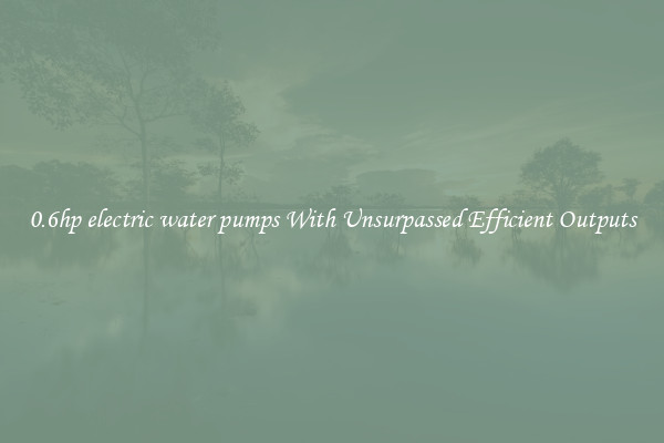 0.6hp electric water pumps With Unsurpassed Efficient Outputs