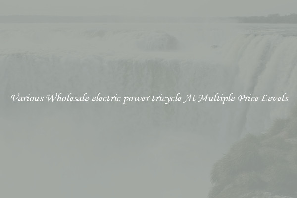 Various Wholesale electric power tricycle At Multiple Price Levels