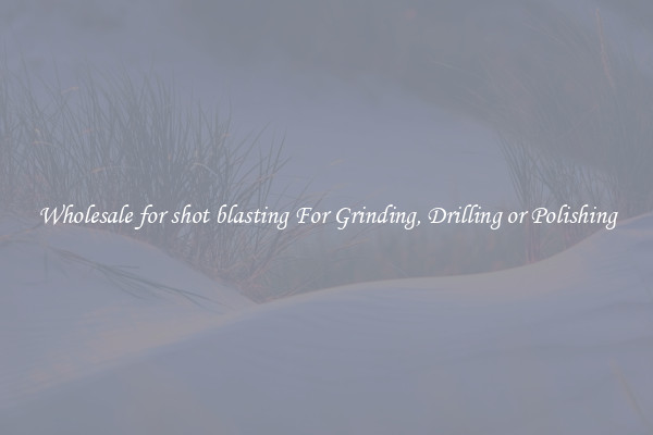 Wholesale for shot blasting For Grinding, Drilling or Polishing