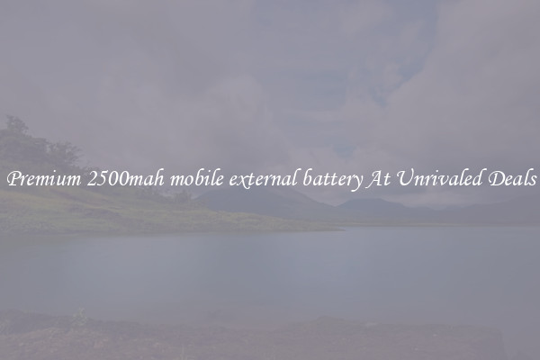 Premium 2500mah mobile external battery At Unrivaled Deals